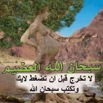 صورة اليوم صورة نادرة شجرة على هيى ة امراة حامل موريتانيا اليوم