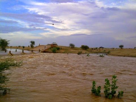 صورة تخدم النص