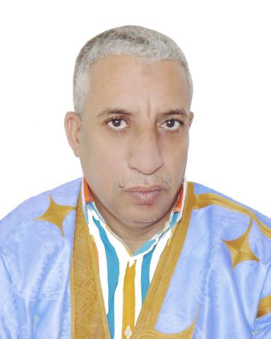 المختار ولد داهى،سفير سابق