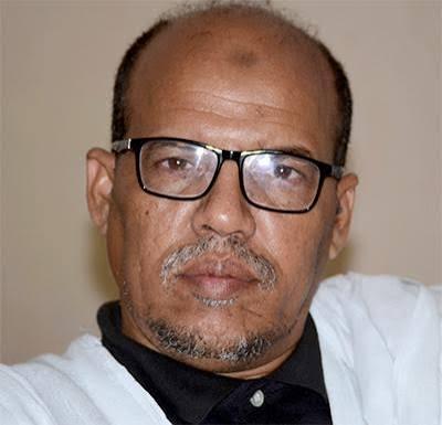محمد الامين ولد الفاظل 