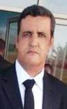 محمد ولد محمد الأمين (نافع)